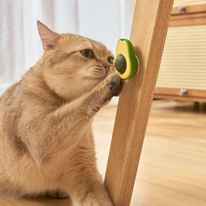 Avocado Shape Cat Toys Gatos Catnip Mint Interactive Ball Mascotas Pet Companion Bionic Fun Healthy Gut